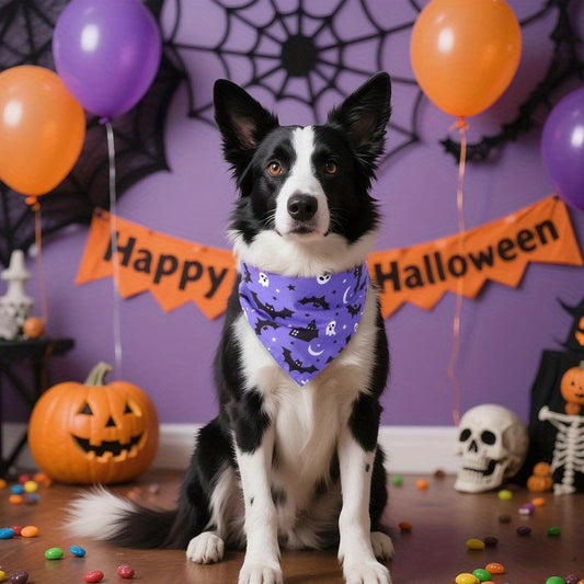 Pack 2 Bandanas Halloween Chien - Toile d'Araignée et Chauve-Souris Violet et Noir