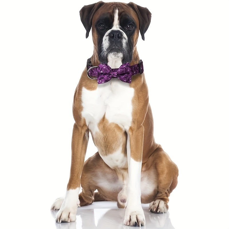 Collier Halloween Chien Ajustable - Motifs Citrouille Chauve-Souris Sorcière