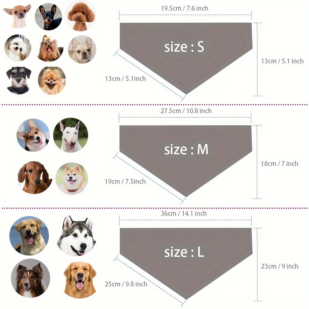 Pack 2 Bandanas Halloween Chien avec Collier - Citrouille et Toile d'Araignée