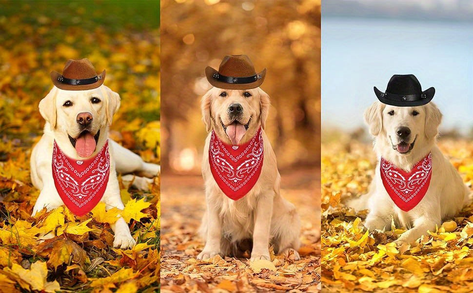 Costume Cowboy Halloween Chien Chat - Chapeau et Bandana Western Festif