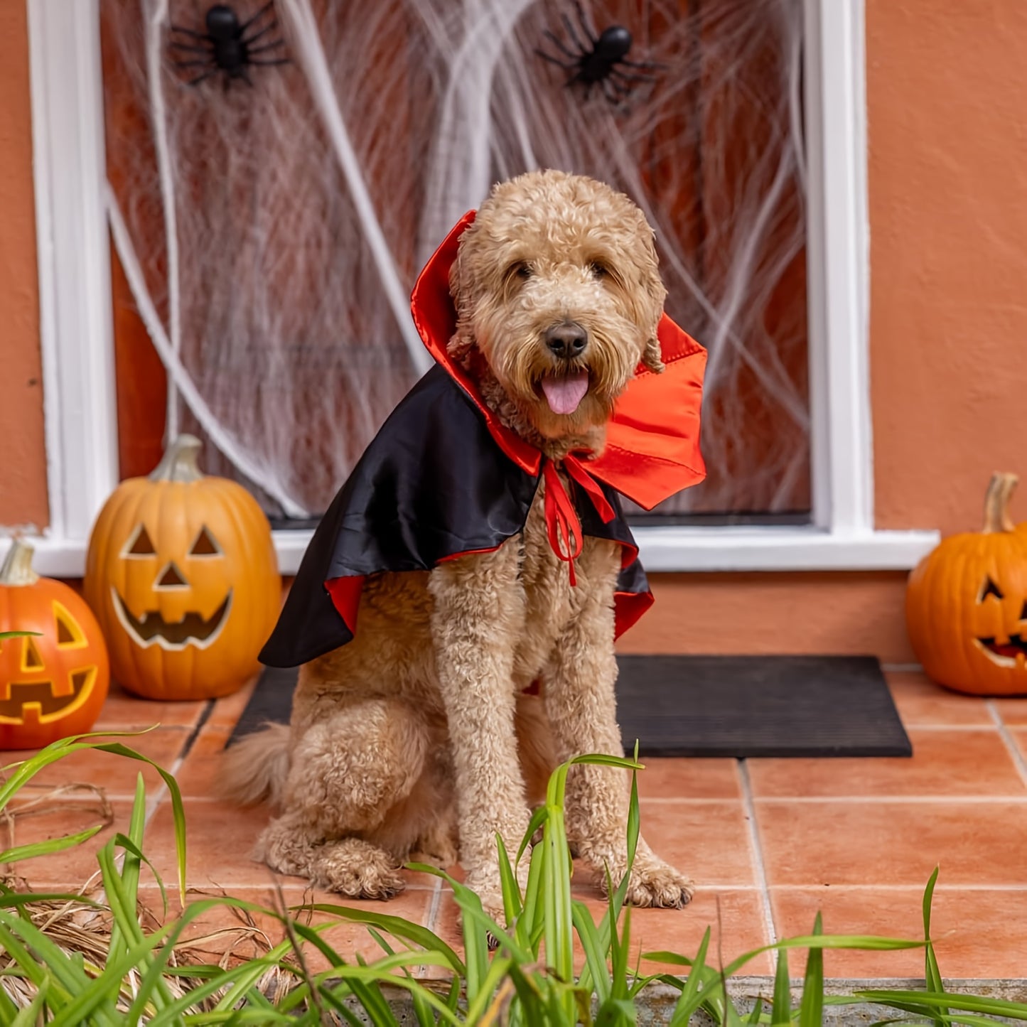 Chapeau Sorcière Halloween Chien Ajustable 3 Couleurs Léger