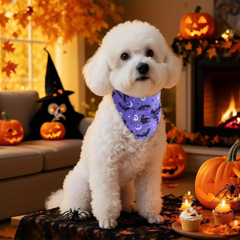 Pack 2 Bandanas Halloween Chien - Toile d'Araignée et Chauve-Souris Violet et Noir