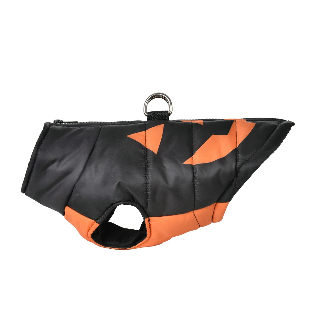 Veste Halloween Chien - Costume Festif Deux Pattes pour Petit et Moyen Chien