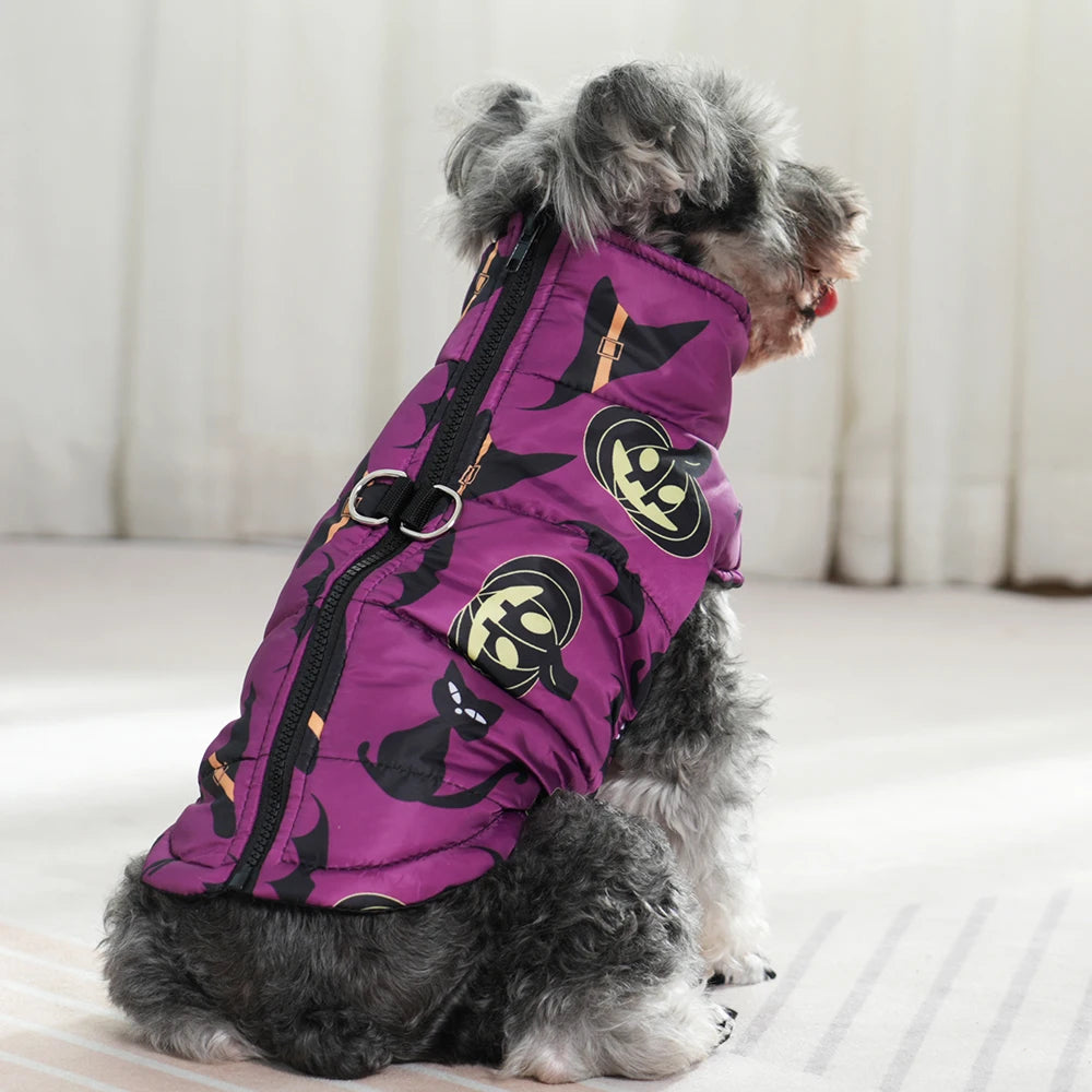 Veste Halloween Chien - Costume Festif Deux Pattes pour Petit et Moyen Chien