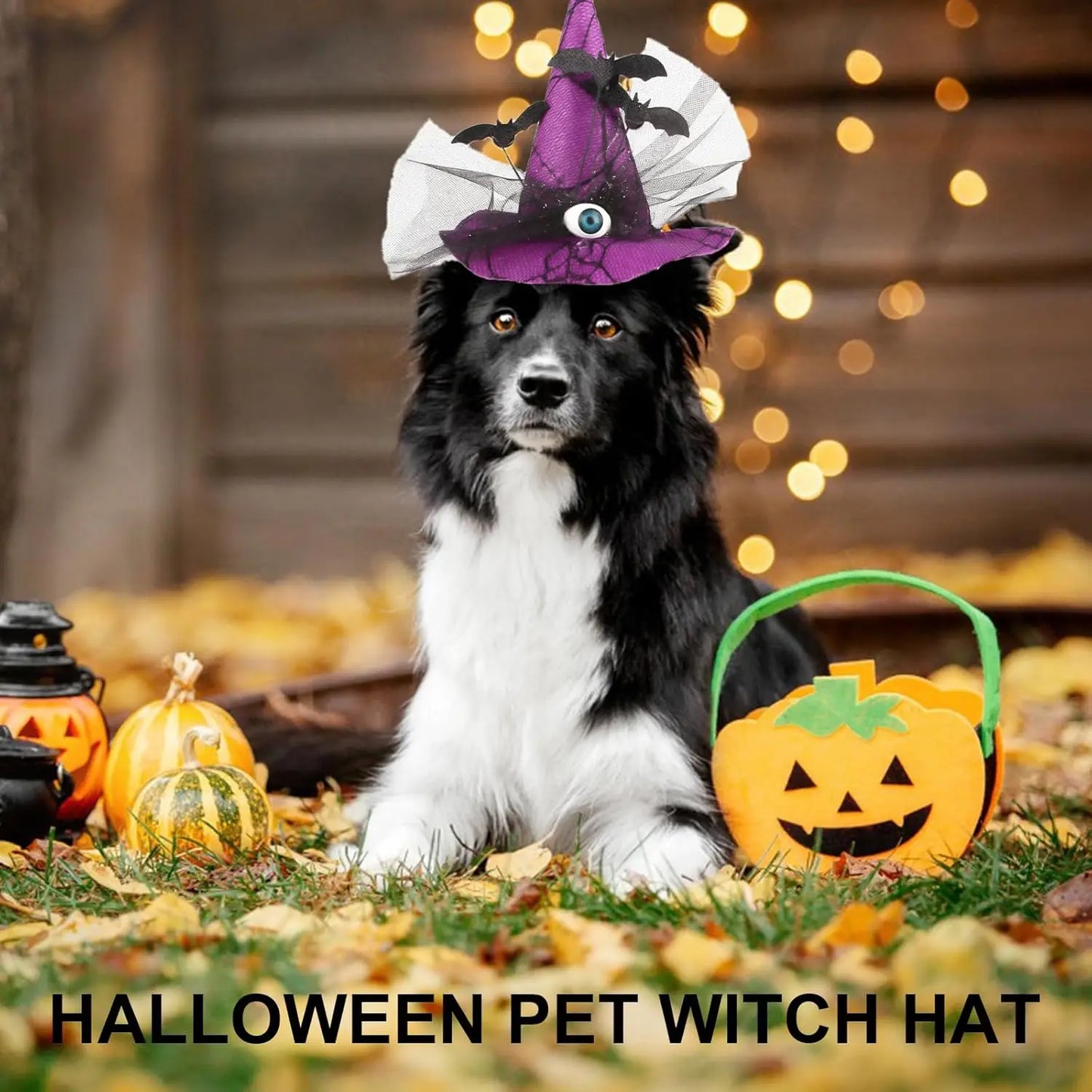 Chapeau Sorcière Halloween Chien Ajustable 3 Couleurs Léger