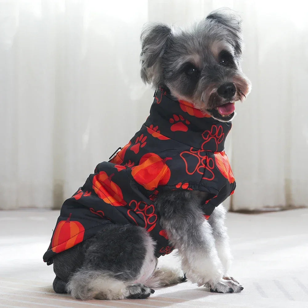 Veste Halloween Chien - Costume Festif Deux Pattes pour Petit et Moyen Chien