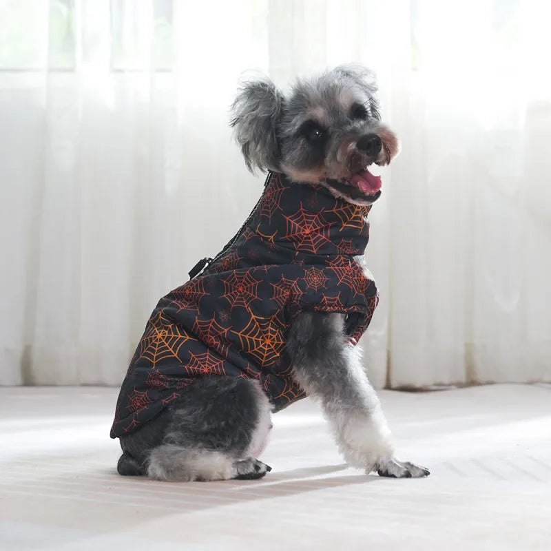 Veste Halloween Chien - Manteau Hiver Imprimé Citrouille Imperméable