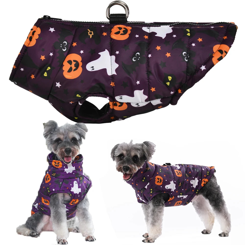 Veste Halloween Chien - Costume Festif Deux Pattes pour Petit et Moyen Chien