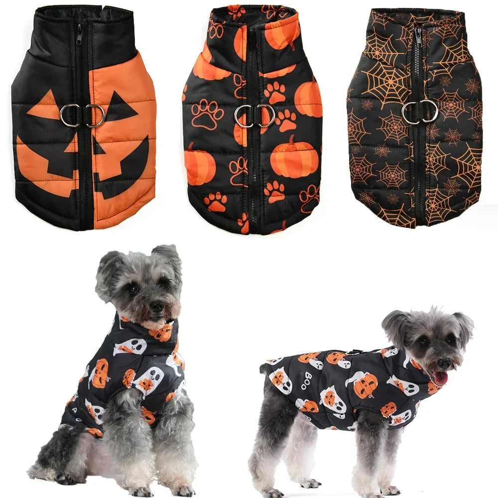 Veste Halloween Chien - Costume Festif Deux Pattes pour Petit et Moyen Chien