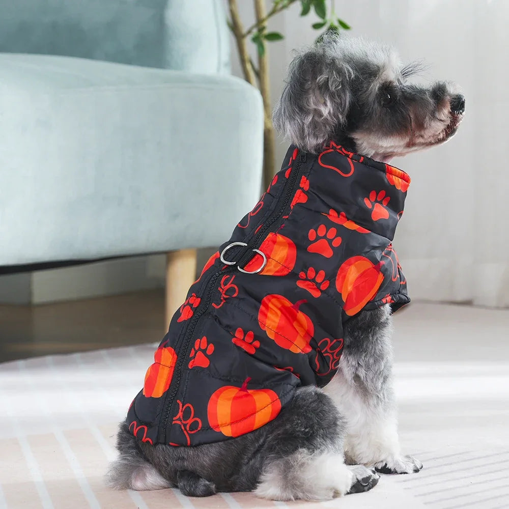 Veste Halloween Chien - Costume Festif Deux Pattes pour Petit et Moyen Chien