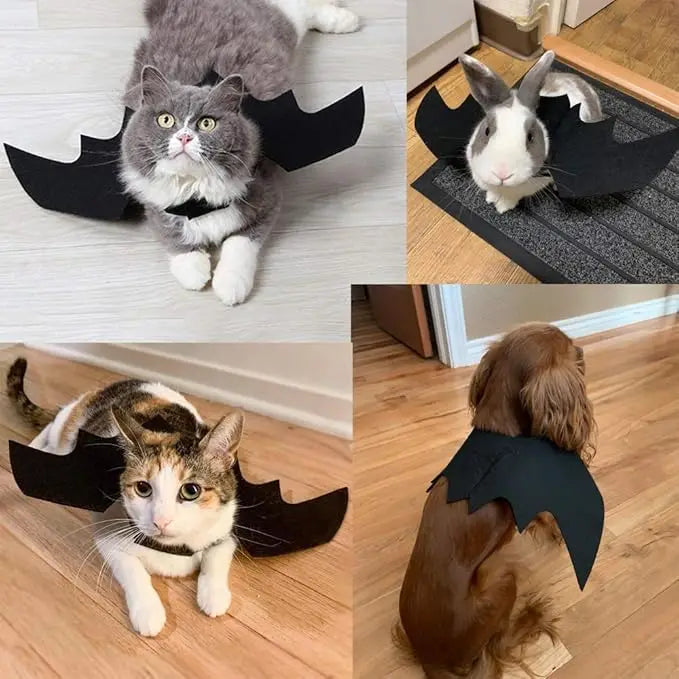 Costume Halloween Chat - Ailes de Chauve-Souris, Chapeau et Collier - Set Complet